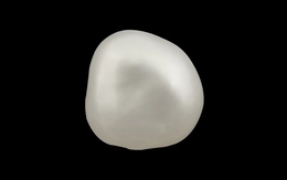 Pearl - SSP 8529 (Origin - Keshi) Prime - Quality